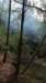_0754_small.jpg