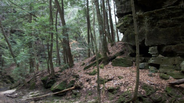 _0761.jpg