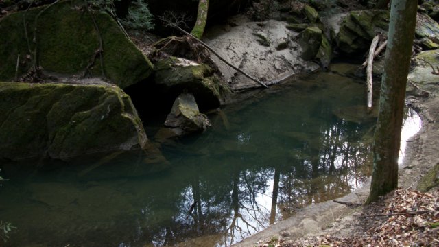 _0783.jpg