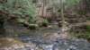 _0807_small.jpg