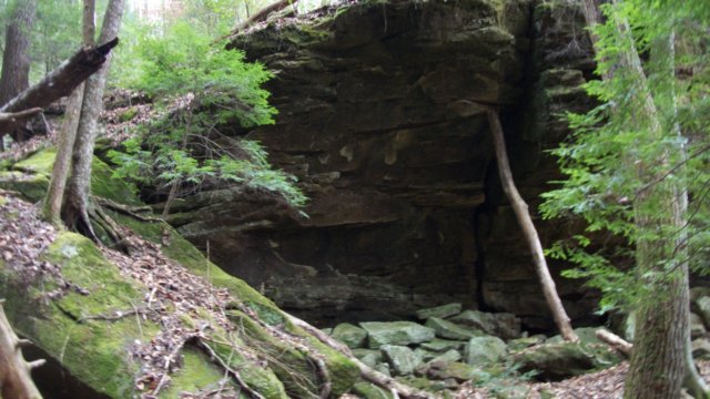 _0809.jpg