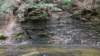 _0811_small.jpg