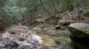 _0817_small.jpg