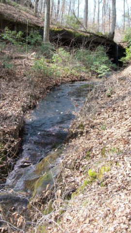 waterfall3distantupperfallswlowercascade.jpg