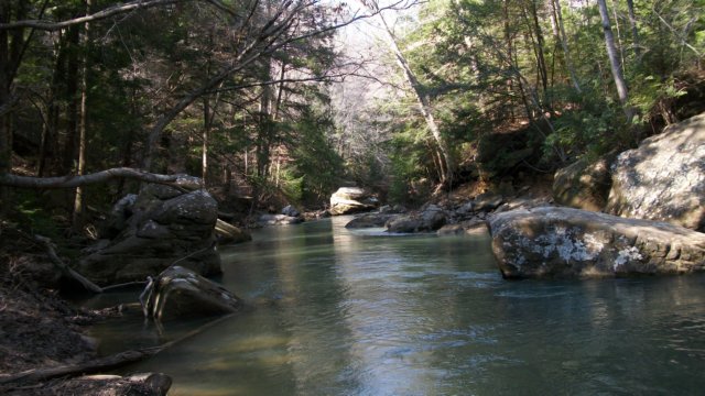 _6363.jpg