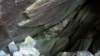 _6409_small.jpg
