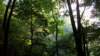 _8955_small.jpg