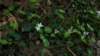 _8968_small.jpg