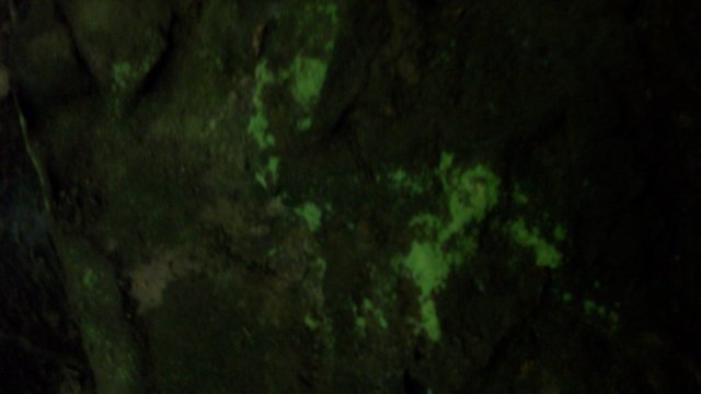 _2655.jpg