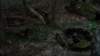 _3646_small.jpg