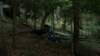 _3647_small.jpg