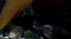 _3665_small.jpg