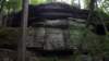 _3675_small.jpg