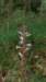 _3685_small.jpg