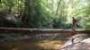 _3756_small.jpg