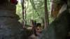 _3801_small.jpg