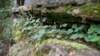 _3852_small.jpg