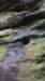 _3854_small.jpg