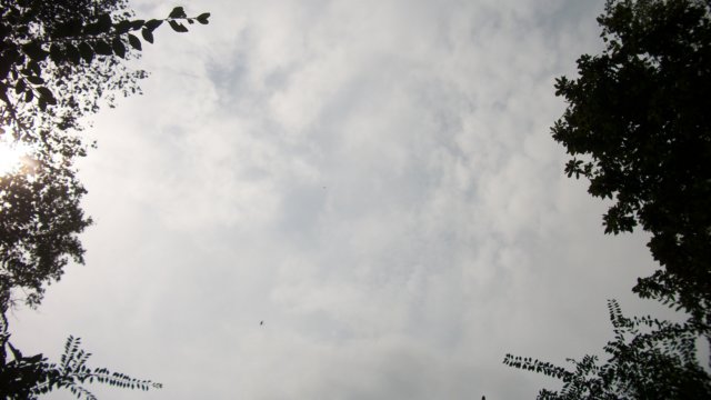 _3942.jpg