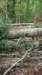 _3965_small.jpg