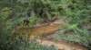 junctionofquillanandhubbardcreek_small.jpg