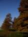 pa280163_small.jpg