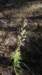 _0626_small.jpg