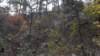 _0700_small.jpg