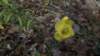 _0773_small.jpg