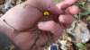 _0775_small.jpg
