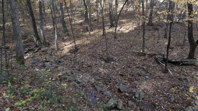 _0805.jpg