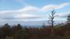 _0847_small.jpg