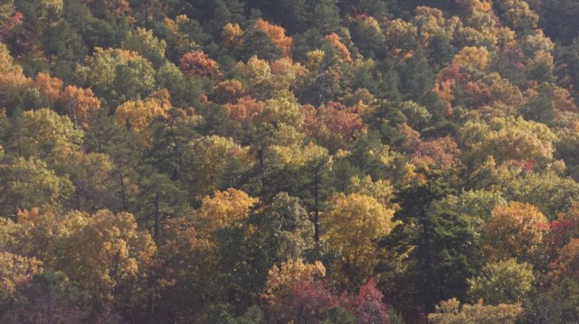 _0883.jpg