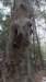 _1418_small.jpg