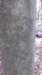 _1457_small.jpg