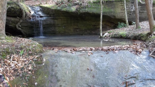 _1459.jpg