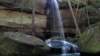 _2581_small.jpg