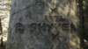 arborglyph_small.jpg