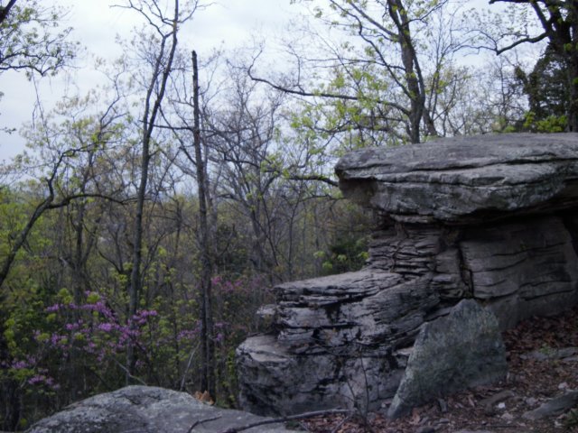 p3170985.jpg