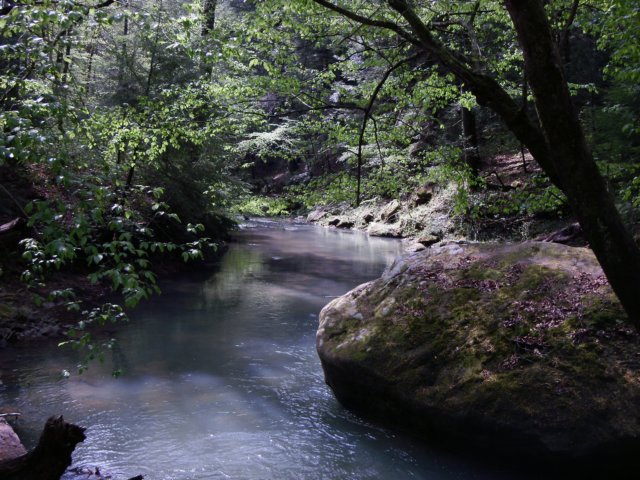p3311058.jpg