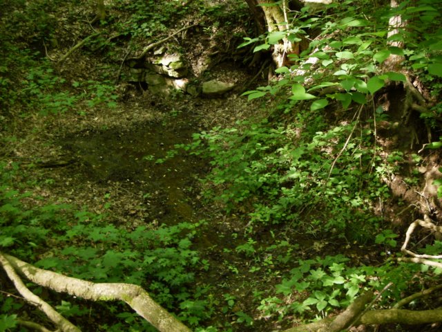 p4071489.jpg