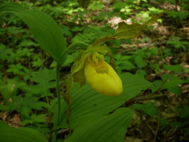 p4071571.jpg