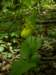 p4071577_small.jpg