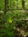 p4071603_small.jpg