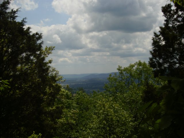 p4071624.jpg