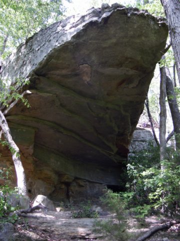 p4141855.jpg
