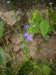 p4222049_small.jpg