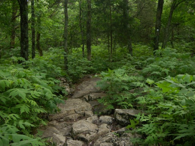 p4222074.jpg