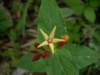 p4222077_small.jpg