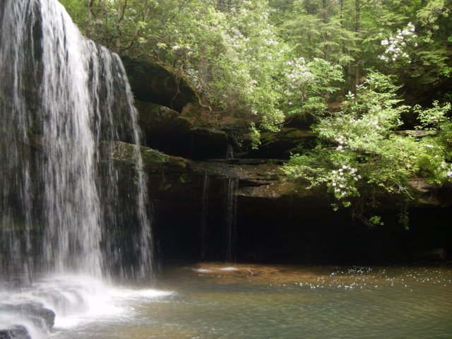 p4282149.jpg